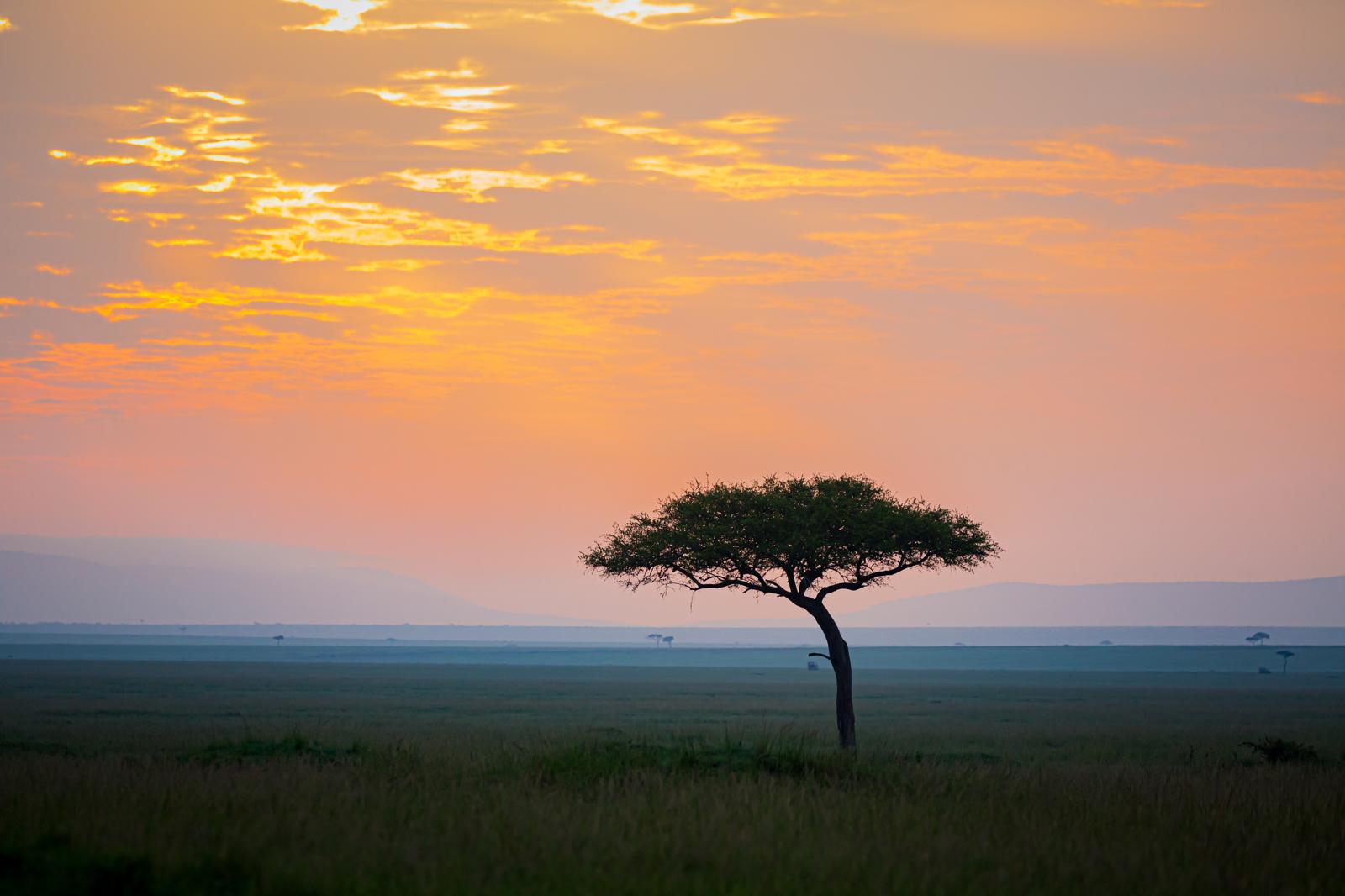 Kenya quando andare?